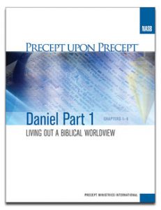 PUP_Cover_Daniel1.indd